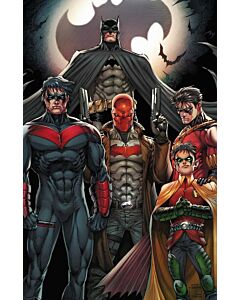 Batman's Sidekicks - Portrait