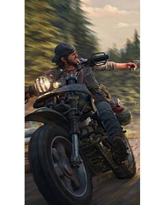 Days Gone - Portrait