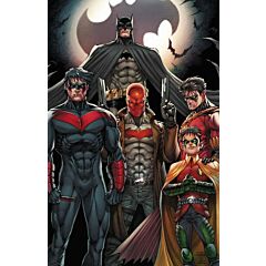 Batman's Sidekicks - Portrait