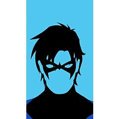 Nightwing - Portrait