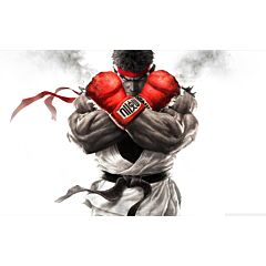 Street Fighter Ryu - Portrait