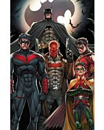 Batman's Sidekicks - Portrait