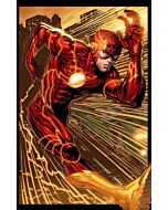 The Flash - Portrait